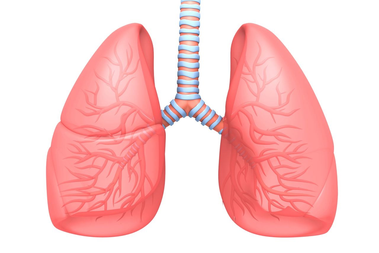 ¡Tome nota! Estos son los hábitos diarios que dañan sus pulmones