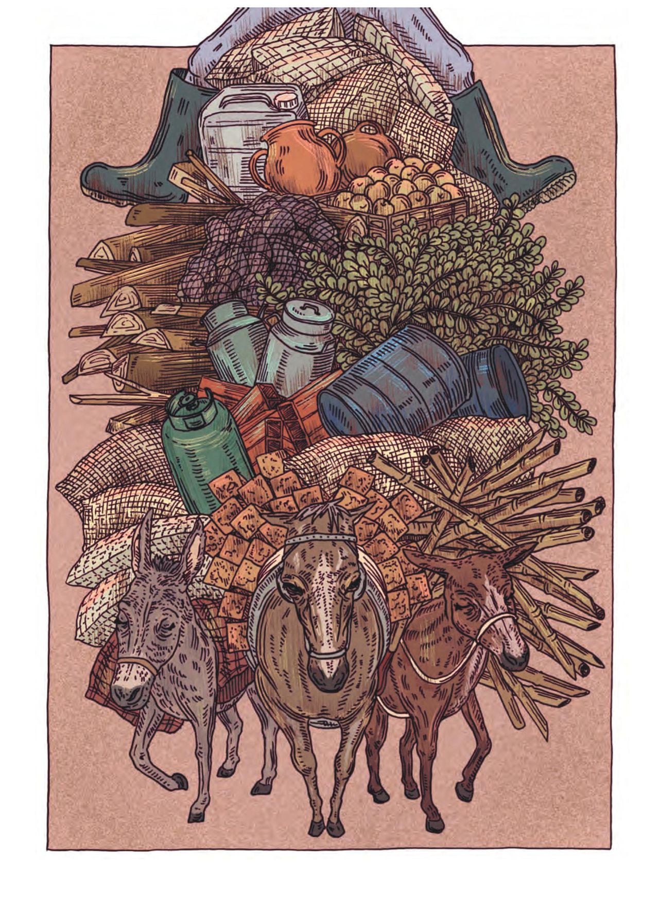 Muestra Caballo, es una de las ilustraciones, realizadas por Soma Difusa, del nuevo libro de Jorge Velosa: "El convite de los animales." Cortesía de Editorial Monigote