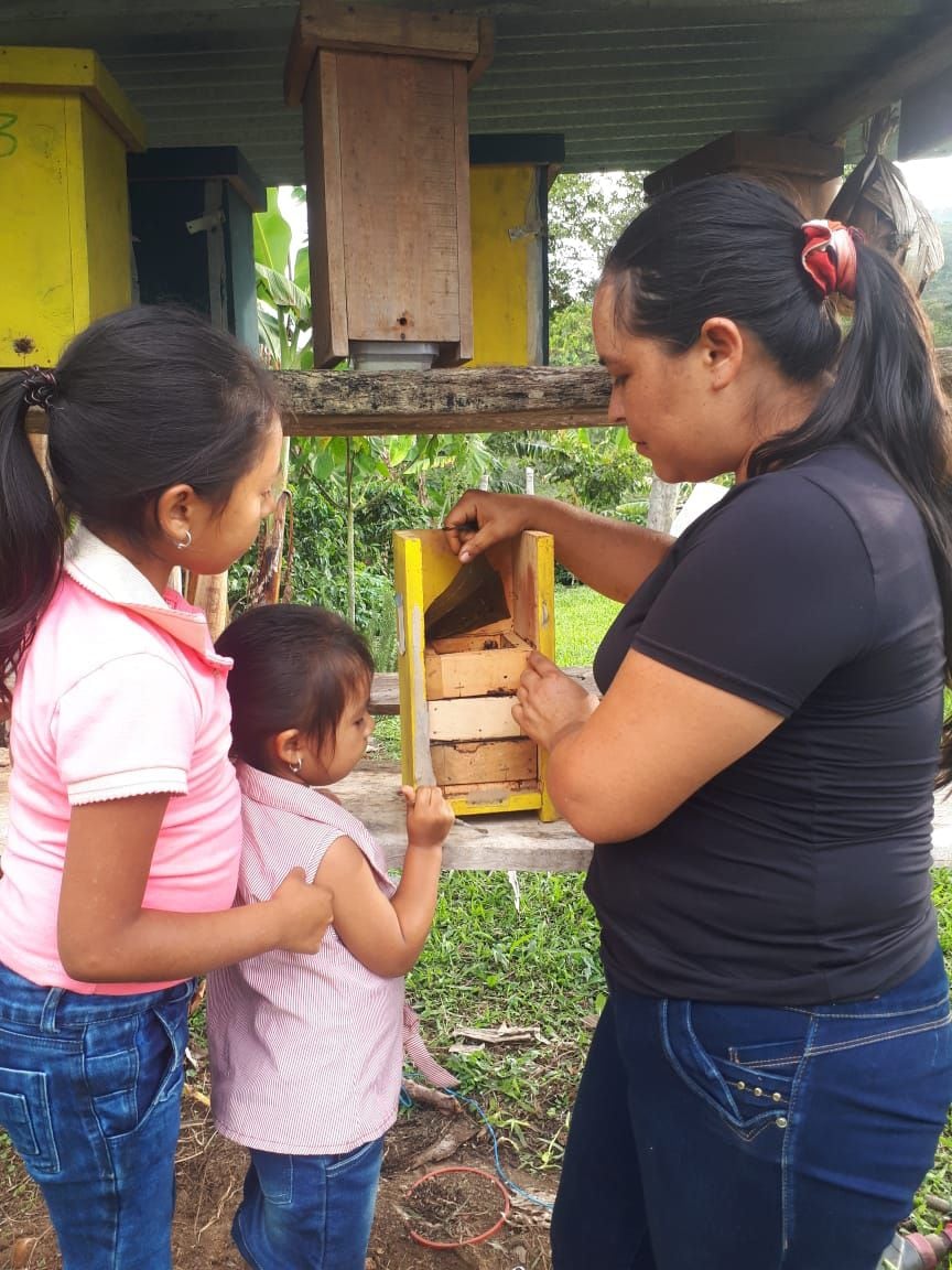 Ceni Cortez es egresada de la Universidad Industrial de Santander donde estudió Producción Agroindustrial. Junto a sus dos hijas está pendiente de la meliponicultura (abejas sin aguijón).