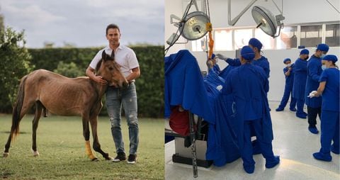 Cirugía de Valentino, caballo adoptado por Johnny Rivera.