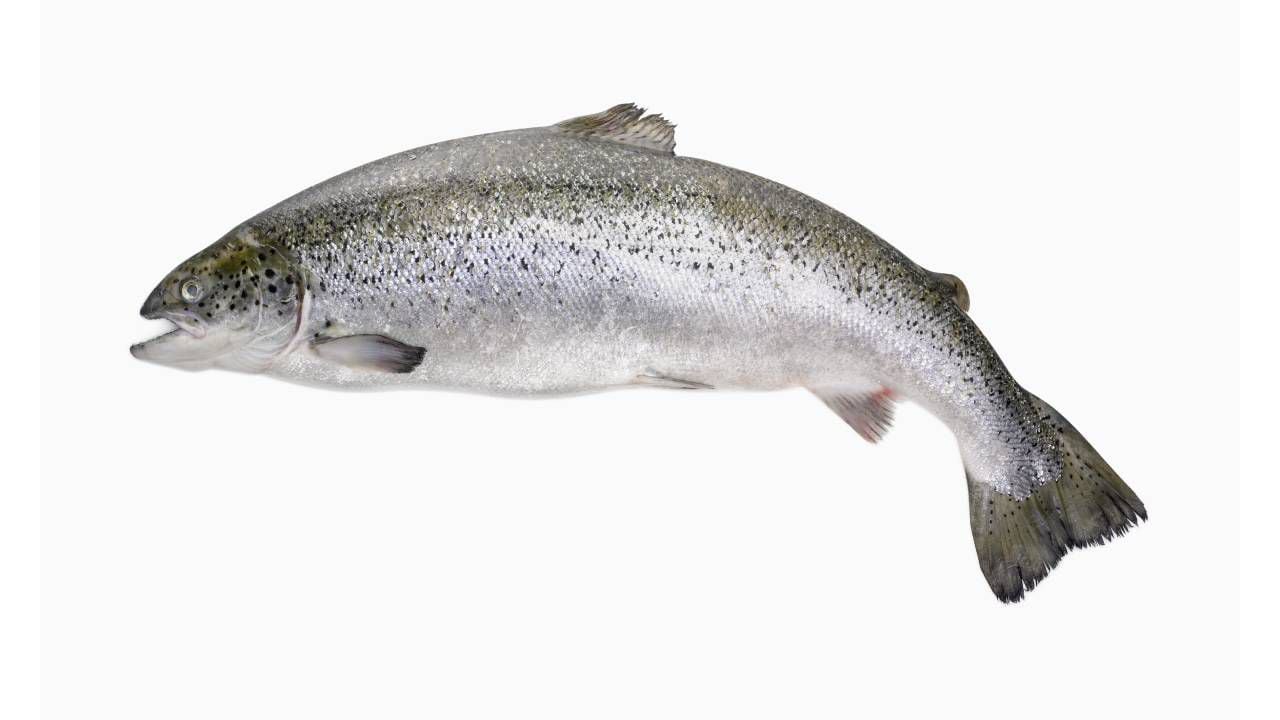 La piel del pescado se recomienda por los expertos comer al menos dos veces por semana. Foto: Getty Images.