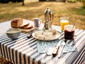 ¿Qué debe contener un desayuno para que sea saludable?, esto dicen expertos