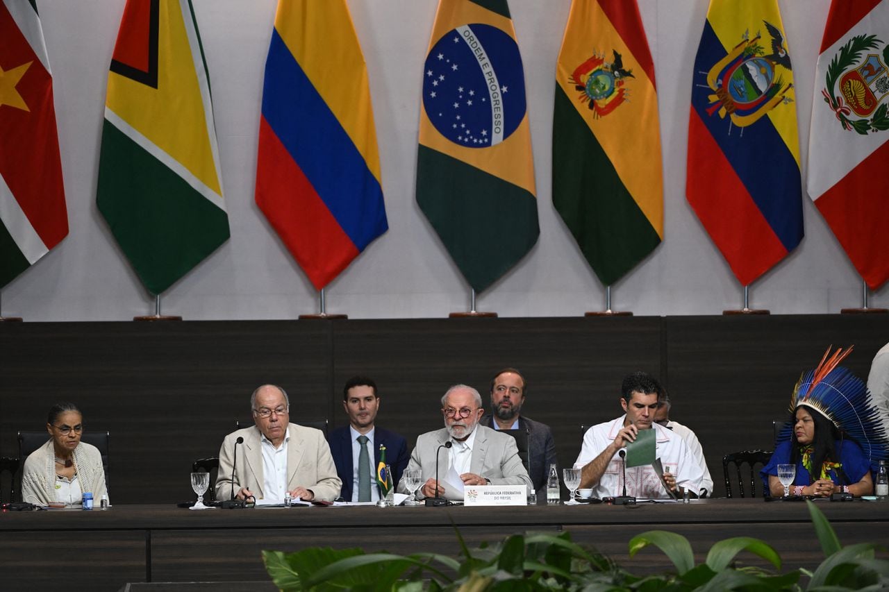 Ocho países sudamericanos acordaron el martes lanzar una alianza para combatir la deforestación en la Amazonía y prometieron en una cumbre en Brasil evitar que la selva tropical más grande del mundo llegue a "un punto sin retorno".