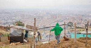 Ciudad Bolívar es la cuarta localidad con más habitantes de Bogotá. La mayoría vive en estrato uno y trabaja en la informalidad.