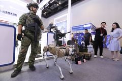 Perros robot en China