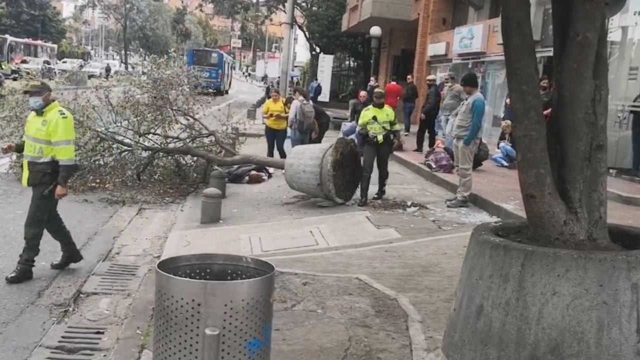 Árbol caído Bogotá