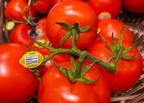 Los tomates están compuestos por más de 80% de agua