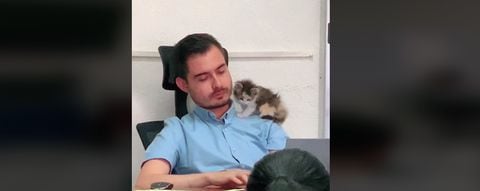 Profesor cuidado de un gatito bebé