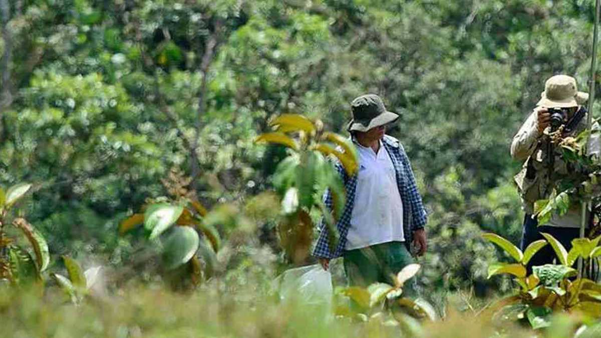 Los guardabosques intentan mantener protegido la riqueza natural de los parques nacionales. Foto: Parques Naturales Nacionales de Colombia. 