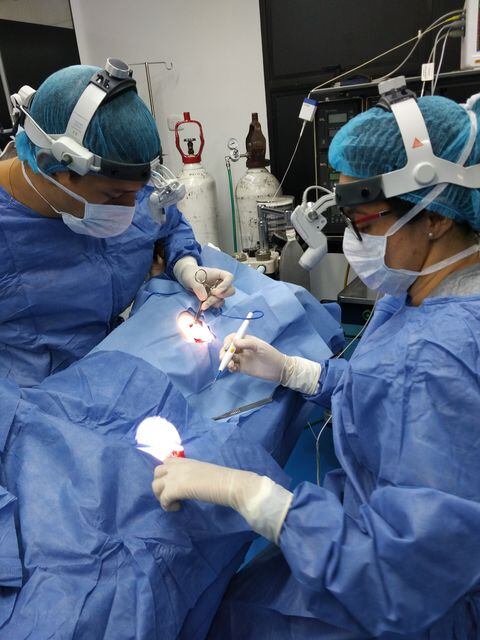 El Implante Flexible de Regeneración Tisular es un biodispositivo creado con el fin de regenerar tejidos del corazón en animales y seres humanos.