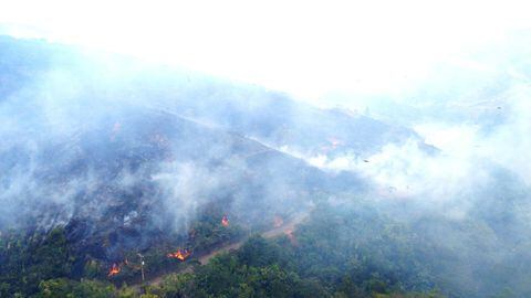 Incendio forestal amenaza al Jardín Botánico, 35 bomberos hacen presencia en el sitio