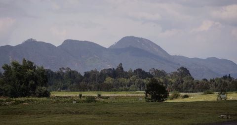La protección de ecosistemas como el río Bogotá y los humedales cercanos, hace parte de la línea estratégica de sostenibilidad de El Dorado.