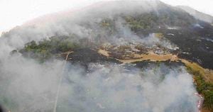 Los incendios en la Amazonia brasileña tienen en vilo a los países de la región. 
