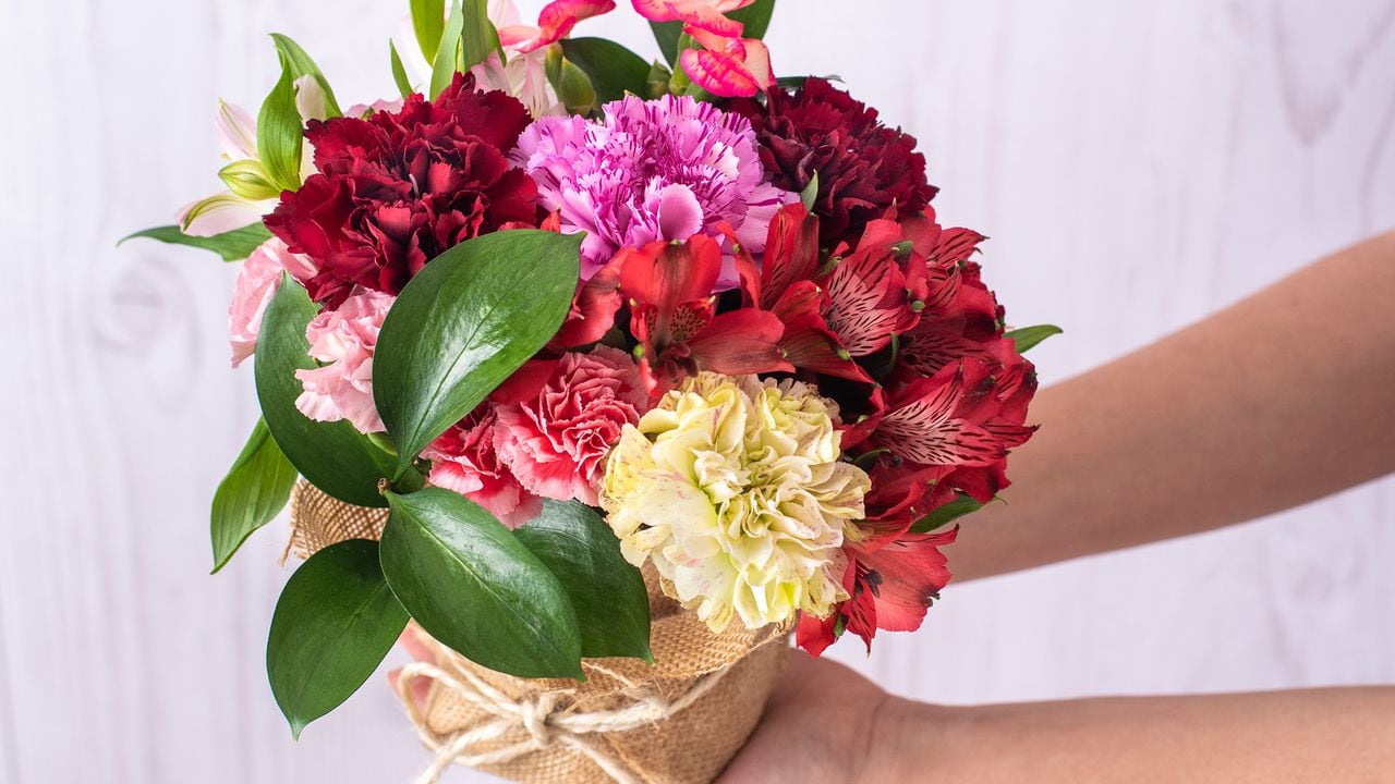 Colombia exporta cerca de 650 millones de tallos de flores cada año, el 15% de a producción anual se exporta para San Valentín.