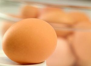 Huevos: Ayudan a que el cerebro tenga memoria a largo plazo. Al igual que las otras proteínas, consumir huevos mejora el estado de “alerta” y de estabilidad. Otras importantes fuentes de proteína con similares virtudes son: las carnes magras, el pescado y los frijoles.