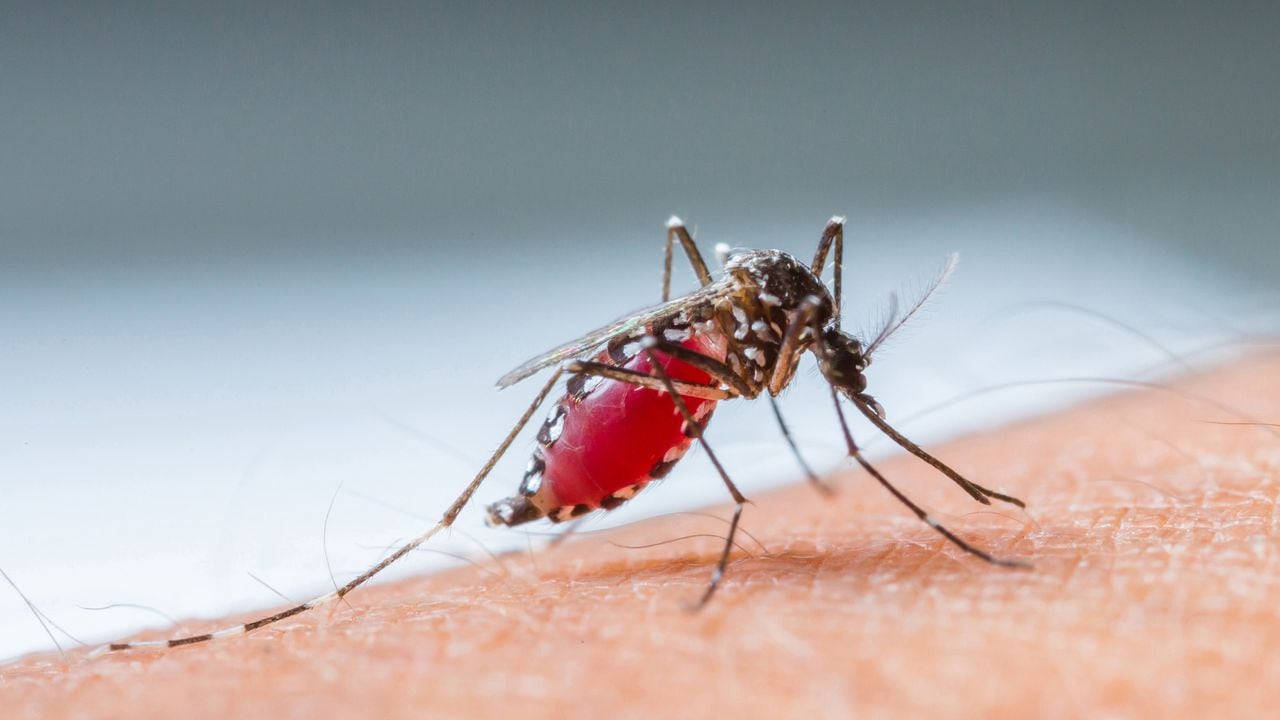 Tres personas pierden la vida en Santander debido a un brote de dengue, lo que genera una situación de alerta.