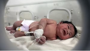 La niña recién nacida recibe tratamiento dentro de una incubadora en un hospital infantil en la ciudad de Afrin, provincia de Alepo, Siria, el martes 7 de febrero de 2023. Ghaith Alsayed/AP
