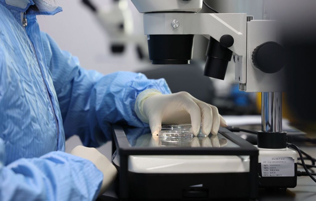 Un investigador observa un ovocito de vaca bajo un microscopio en un laboratorio de una empresa de biotecnología en Binzhou, provincia de Shandong, en el este de China, el 26 de marzo de 2024. (FOTO/Future Publishing)