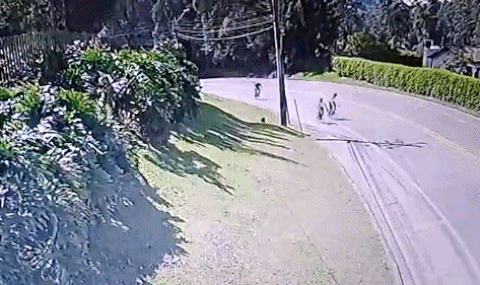 Camioneta embiste a dos ciclistas en La Ceja