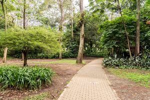 El Jardín Botánico de Medellín es uno de los sitios para visitar en pareja en esta ciudad.
