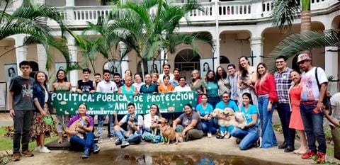 Política Pública de Protección y Bienestar Animal fue aprobada en el Valle del Cauca.