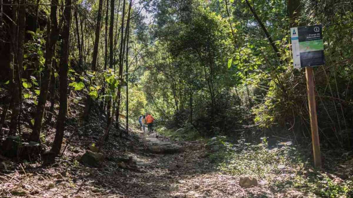 Los bogotanos podrán visitar los senderos de la quebrada La Vieja desde el próximo sábado, 16 de octubre. Foto: Diego Téllez (CAR).