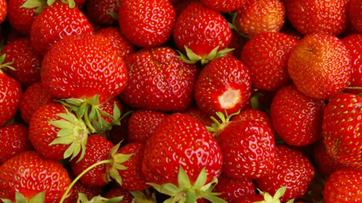 Una fruta ideal para utilizar en las dietas para controlar la diabetes y bajar de peso.