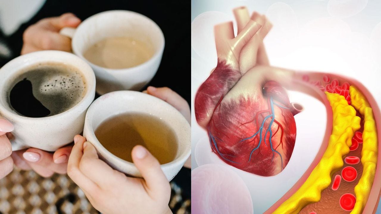 El té que reduce los triglicéridos y el colesterol.