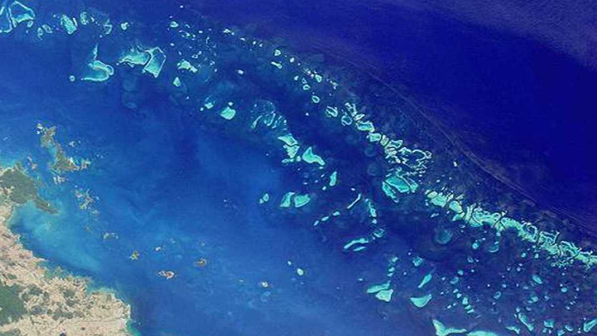 La Gran Barrera de Coral ha tenido tres grandes blanqueamientos desde 2015. 