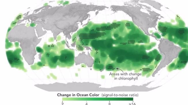 Hay cambios en los ecosistemas dentro del océano global.