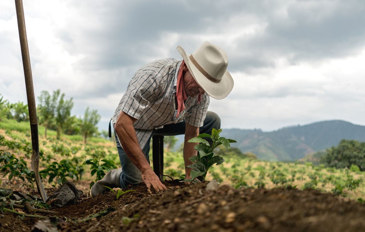 Foto de referencia de un campesino en Colombia trabajando la tierra