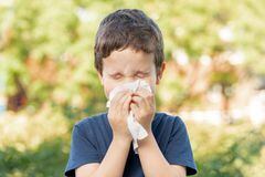 Existen las alergias respiratorias que se presentan mediante la rinitis o el asma.