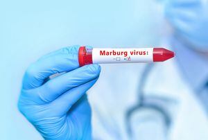 Médico sosteniendo un tubo de muestra de sangre de prueba con virus de Marburgo positivo.