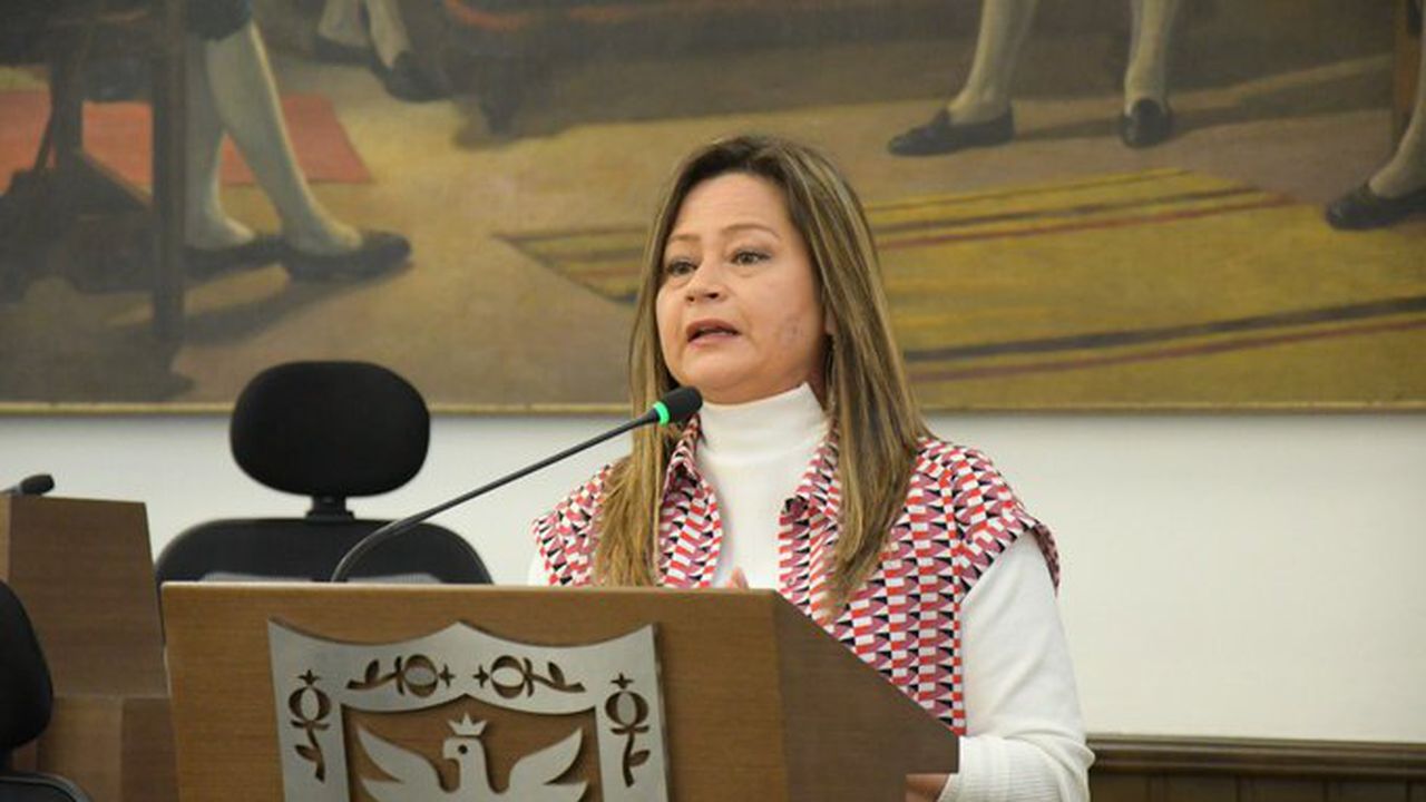 La concejal Mafe Rojas lanzó su precandidatura a la Alcaldía de Bogotá por el partido Alianza Verde.