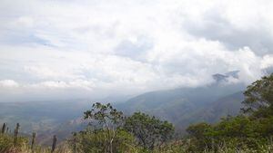 En la Serranía del Perijá se adelantan proyectos de restauración de ecosistemas.
