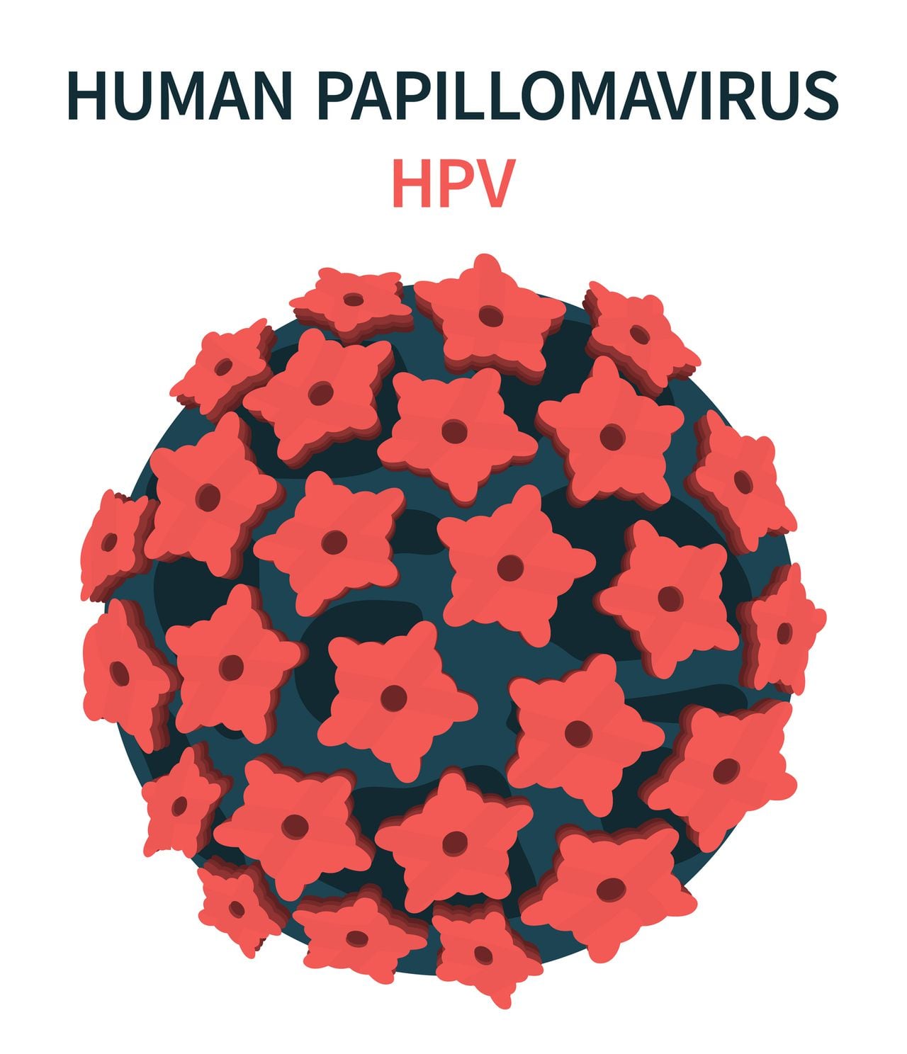 Foto de referencia sobre el virus del papiloma humano