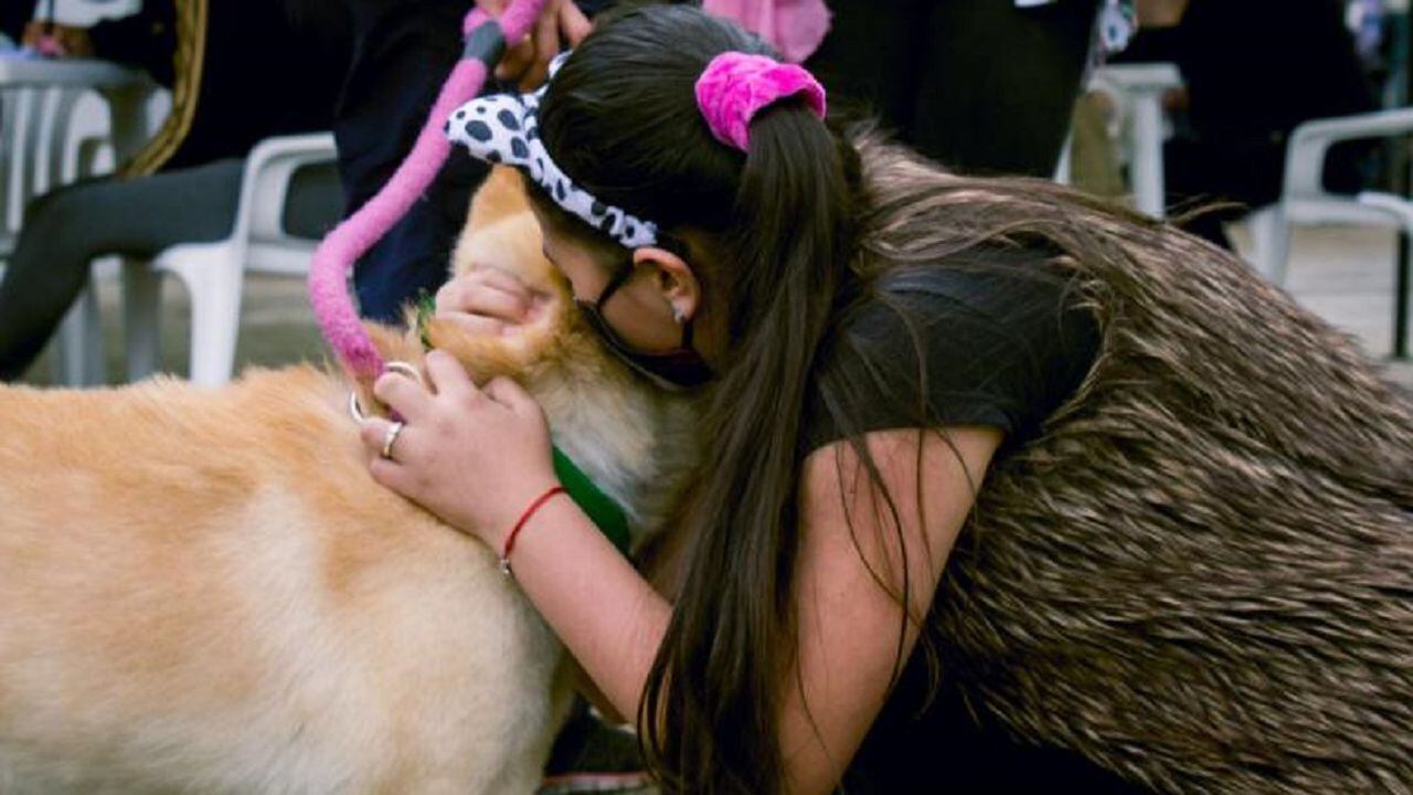 Adopción de perros en Bogotá