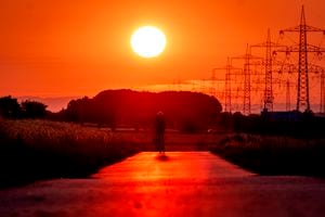 Un hombre monta su bicicleta en una pequeña carretera en las afueras de Frankfurt, Alemania, mientras sale el sol el 9 de julio de 2023. Los científicos dicen que las temperaturas aplastantes que cubrieron Europa el verano pasado pueden haber provocado más de 61,000 muertes