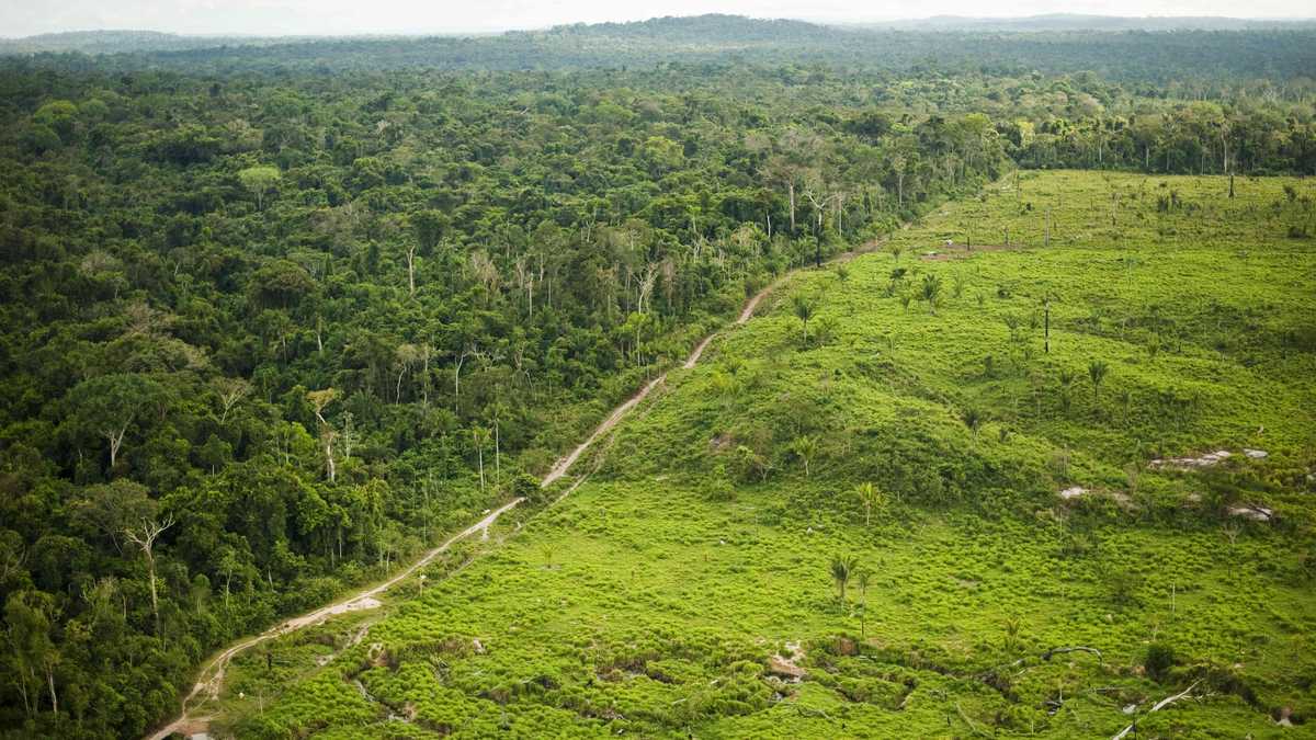 El equilibrio entre producción económica y conservación ambiental es uno de los grandes retos frente a la preservación de la Amazonía. La implementación de políticas públicas puede aportar a la solución y catapultar al estado de Pará, en Brasil, como un referente continental.