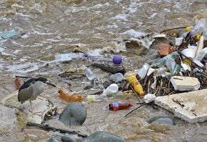 Informe ambiental de Cali Como vamos en contenido de medio ambiente. Escombros, basuras, contaminación de los ríos, males que aquejan el medio ambiente.