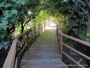 Trece de los humedales de la ciudad están habilitados para hacer caminatas ecológicas y actividades de recreación pasiva, sin embargo, se debe tener en cuenta que algunos necesitan permisos previos. A los que es posible ir sin este requerimiento son: Santa María del Lago, La Conejera, El Salitre, Juan Amarillo, Jaboque, El Tunjo y Córdoba en el sector 1 y 3. "Para visitarlos es mejor acompañarse de un guía o acudir con un grupo grande por seguridad”, advierte Jorge Escobar, director de la Fundación Humedales Bogotá, una entidad que organiza actividades y acompañamientos a todo aquel que lo solicite. Foto: Fundación Humedales Bogotá - Diego Rincón