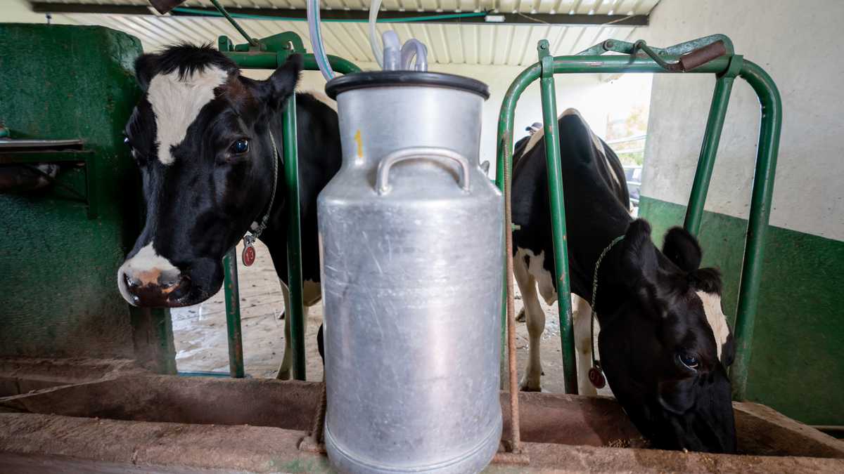 Foto de referencia sobre leche en Colombia