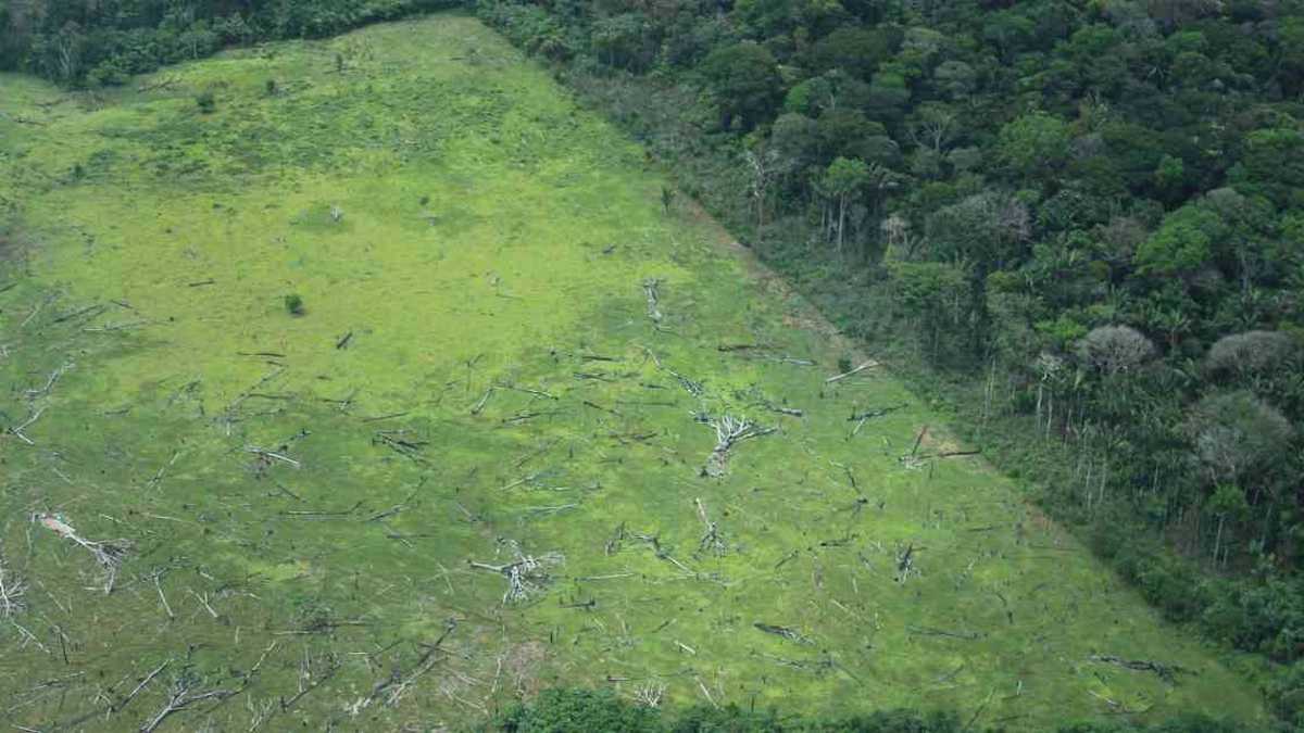 La Macarena es uno de los Parques Nacionales más deforestados en Colombia. Foto: Rodrigo Botero.