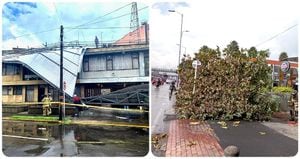 Las fuertes lluvias en Bogotá este martes 20 de spetiembre generaron caídas de tejado y árboles en varias zonas de la ciudad.