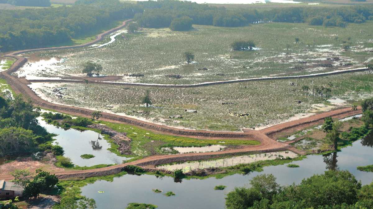 Con la construcción de diques, terraplenes y vías, los hacendados secan las orillas de la ciénaga.
