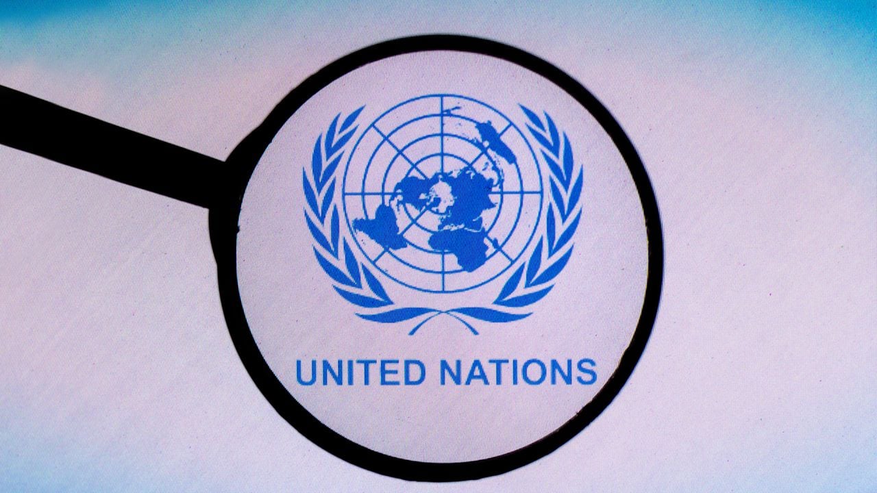 Logotipo de las Naciones Unidas (ONU)