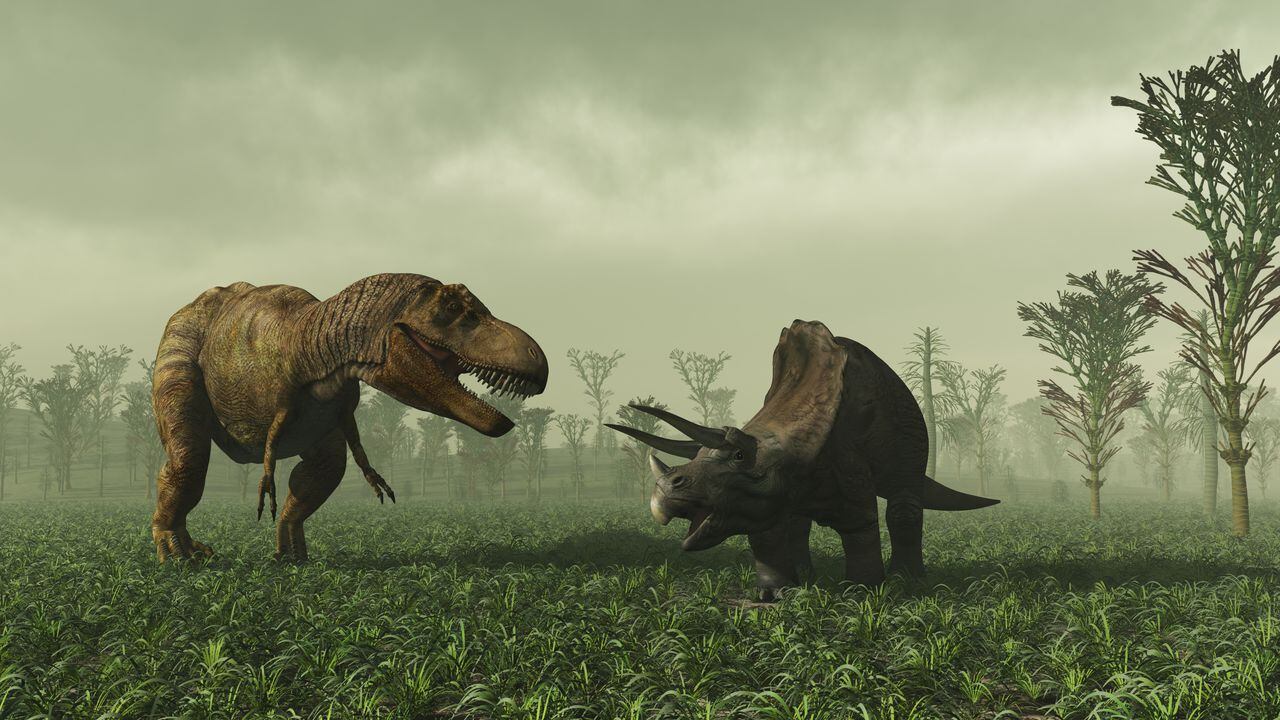 Descubren tres especies distintas de Tyrannosaurus rex