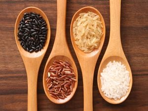 Four spoons with varieties of rice (black,red,brown,white)
