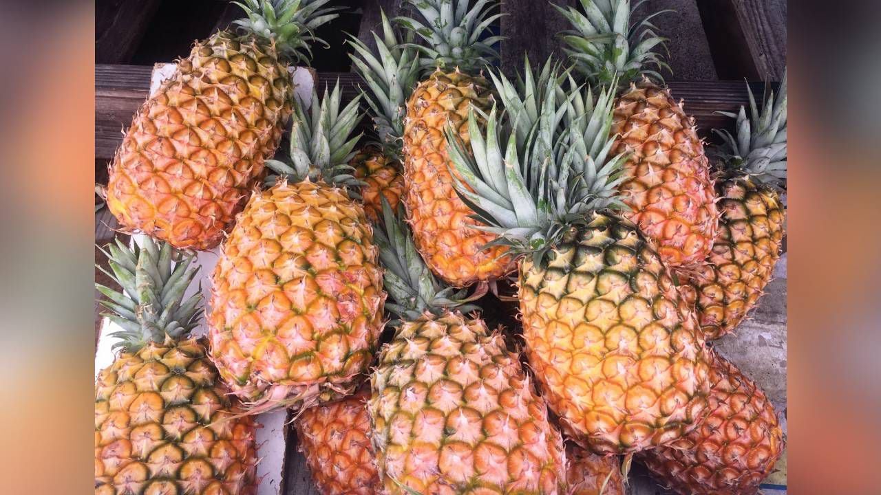 La piña es uno de los ingredientes de este batido, la cual contiene bromelina, una enzima que participa en la digestión de las proteínas, reduciendo el malestar abdominal y la inflamación. Foto: GettyImages.