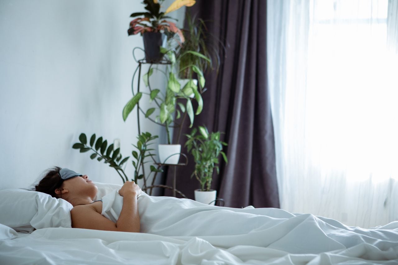 Despertar renovado: la influencia de las plantas en el sueño nocturno